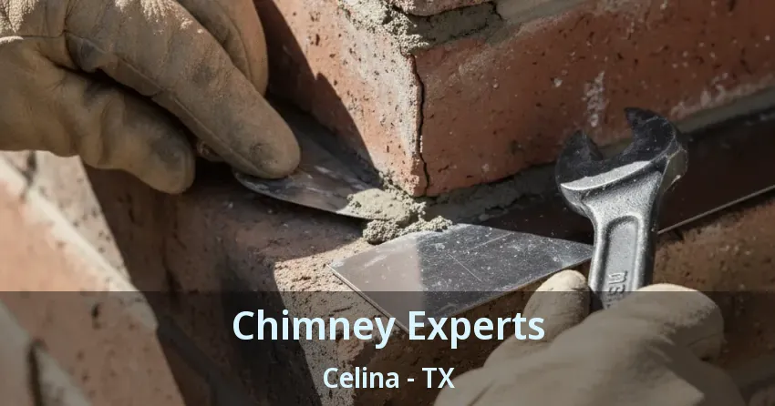 Chimney Experts Celina - TX