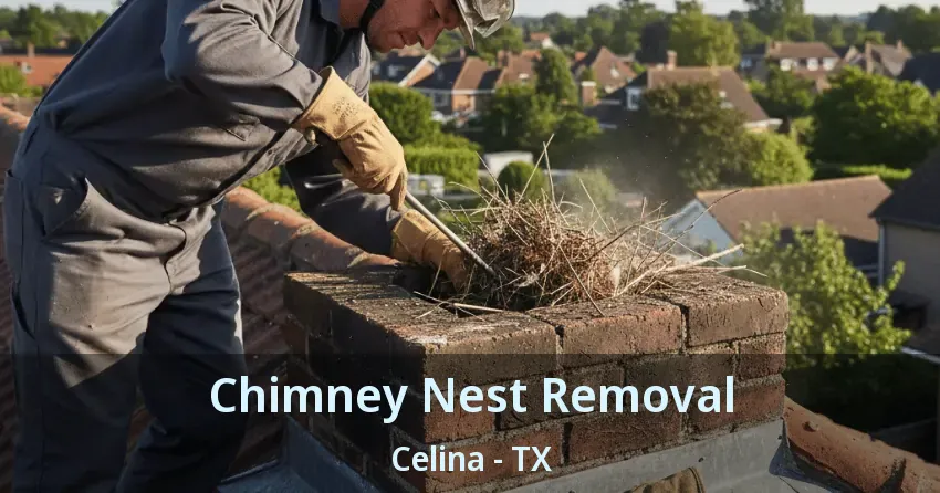 Chimney Nest Removal Celina - TX