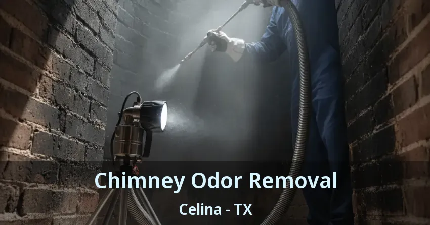 Chimney Odor Removal Celina - TX