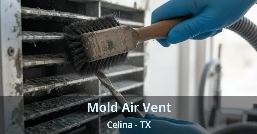 Mold Air Vent Celina - TX