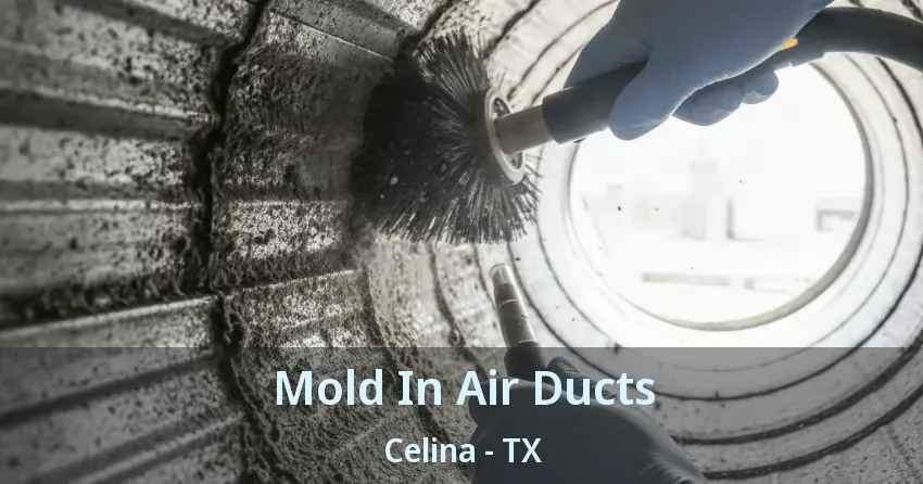 Mold In Air Ducts Celina - TX
