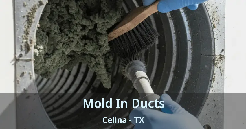 Mold In Ducts Celina - TX