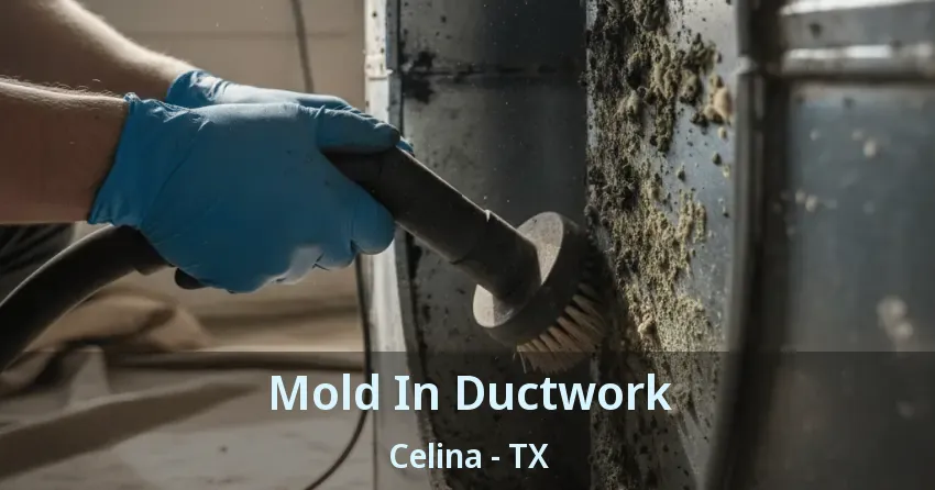 Mold In Ductwork Celina - TX Mold In Ductwork Celina - TX