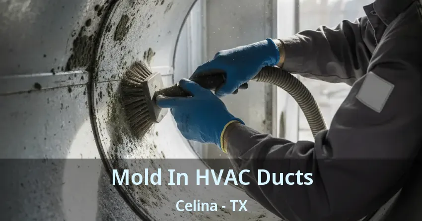 Mold In HVAC Ducts Celina - TX