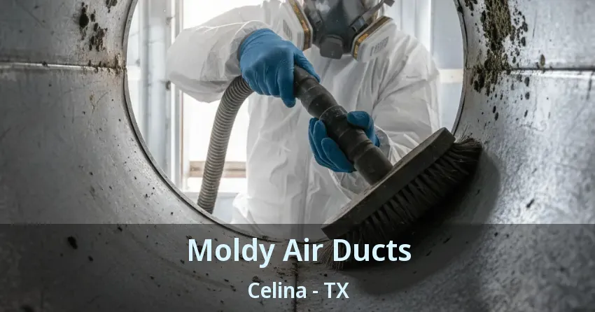 Moldy Air Ducts Celina - TX